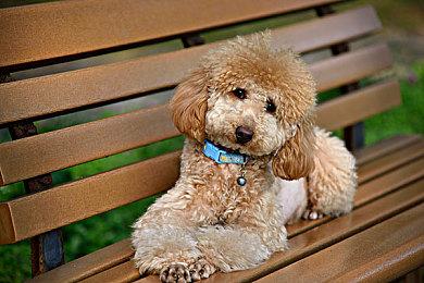 《黑暗之魂2：原罪学者》照明优化MOD提升氛围感